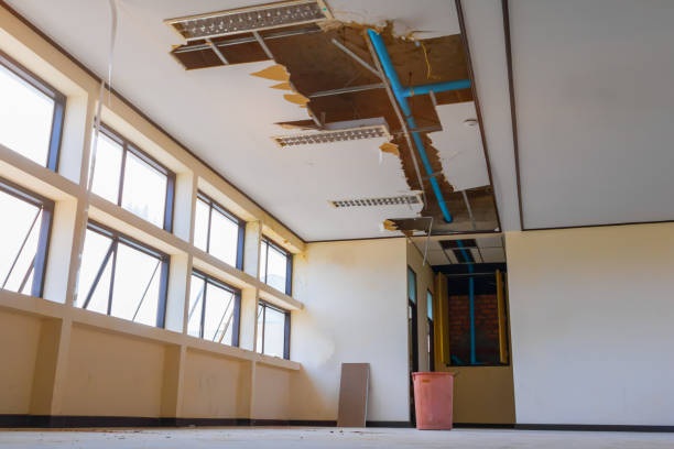 Best Water damage contractors near me  in West Islip, NY