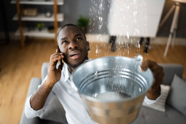 Best Carpet water damage restoration  in West Islip, NY