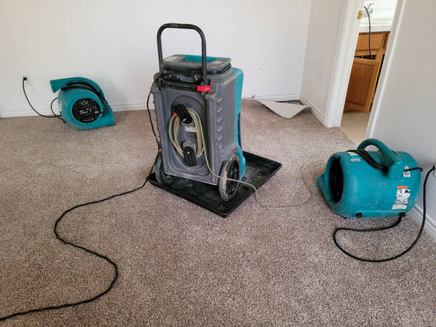 Best Emergency water damage restoration  in West Islip, NY