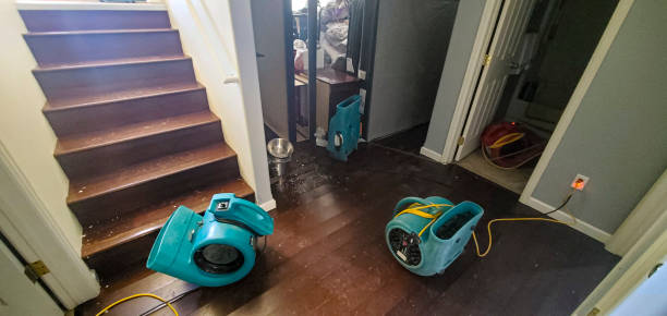 Best 24-hour water damage restoration  in West Islip, NY