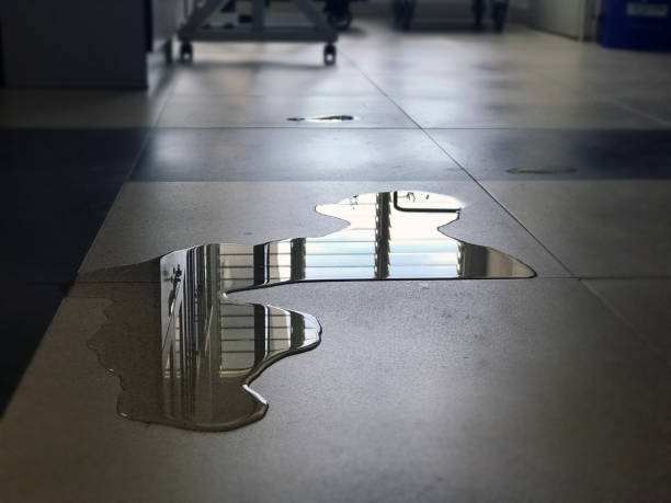 Best Professional water damage repair  in West Islip, NY