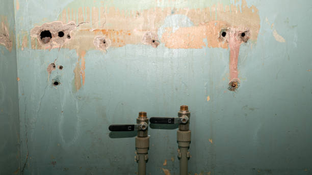 Best 24/7 water damage repair  in West Islip, NY