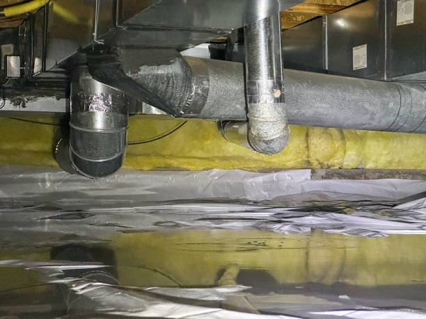 Best Basement water damage restoration  in West Islip, NY