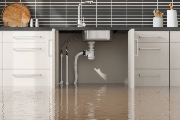 Best Flooded house restoration  in West Islip, NY