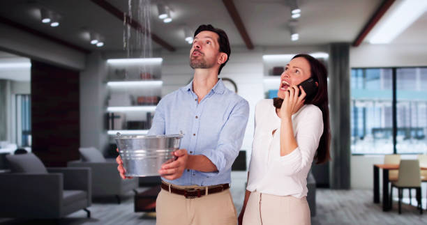 Best Water damage repair service  in West Islip, NY