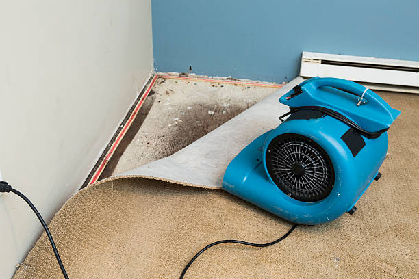 Best Professional water damage repair  in West Islip, NY